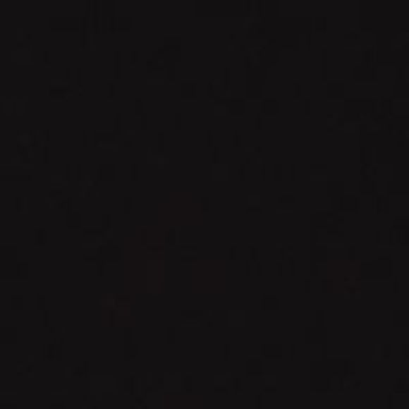 VINCE CAMUTO Womens Black Belted Wear To Work Pants 8 - Picture 4 of 4